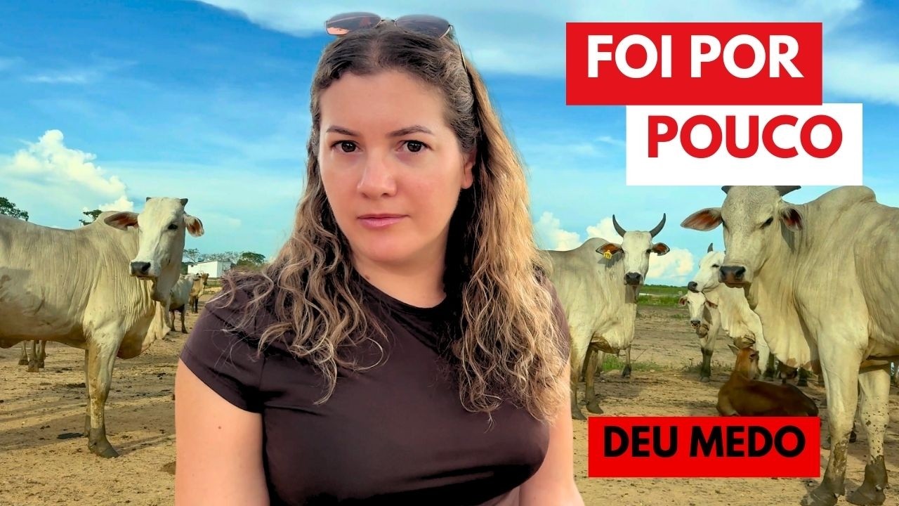 TRANSPANTANEIRA, DIRIGINDO NESSA ESTRADA DESAFIADORA: Deu medo.