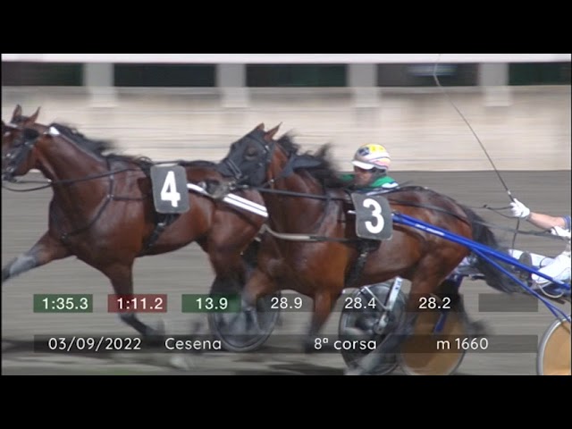 2022 09 03 | Corsa 8 | Metri 1660 | Premio Campionato Europeo Gruppo Orogel - Seconda Prova
