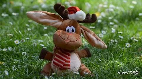 CƯNG XỈU VỚI MÀN NHẢY CỦA NHỮNG BOSS Too Cute to Handle: Dogs Dancing Like Pros