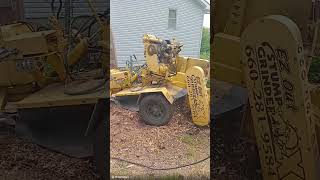 TREE STUMP REMOVAL VIDEO 6132025 #history #veteransday #army