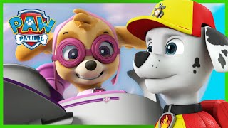 The Rescue Knights Save A Sleepy Barkingburg And More Paw Patrol Cartoons For Kids