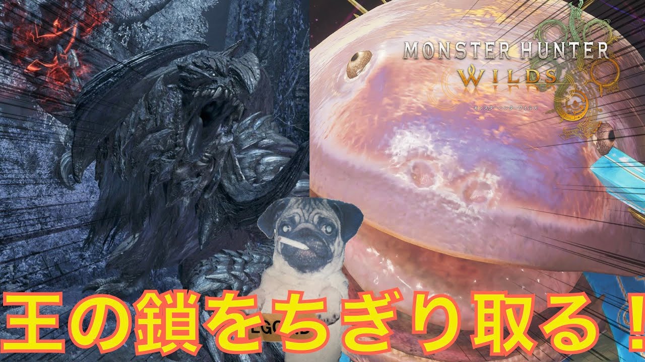 【モンハンワイルズ】ちょっと王アルシュソロ練！！夜は参加型します！！＃モンスターハンターワイルズ