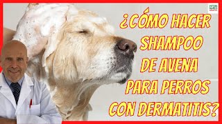 HOW TO MAKE OAT SHAMPOO FOR DOGS WITH DERMATITIS? ❤+ 2 TRICKS