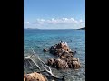 Cormorant or Spotted Shag in Spiaggia Li Capanni Sardinia