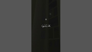 تلاوة تأخذك إلى عالم آخر بصوت الشيخ ماهر المعيقلي ♡ #ماهر_المعيقلي
