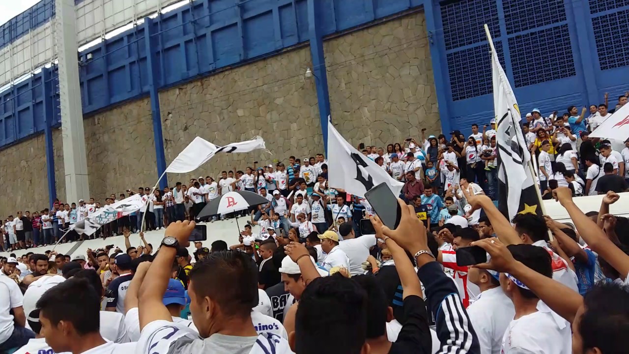 Barra brava 96