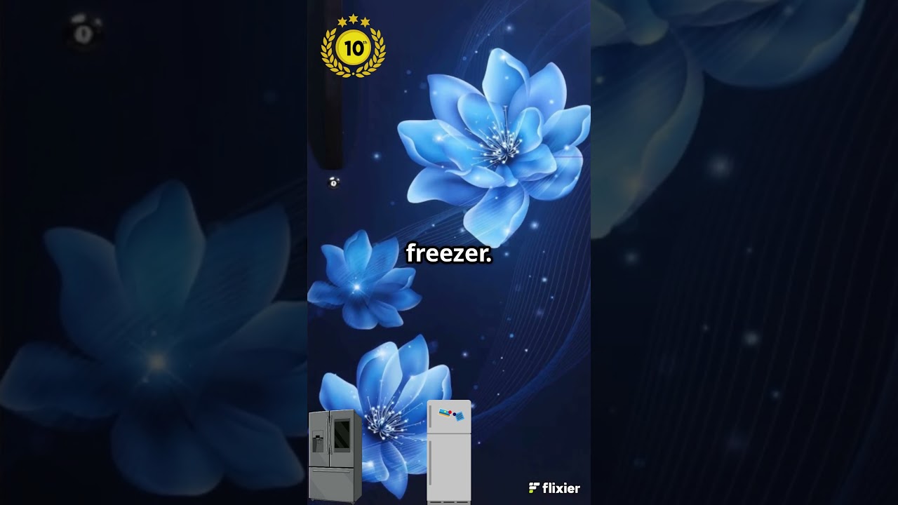 Top 10 Refrigerators (Fridge) in India 