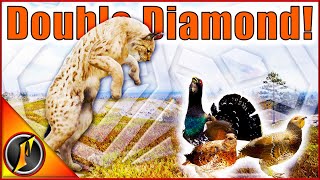 A Day of Diamonds! | Diamond Capercaillie & Lynx on Revontuli Coast!