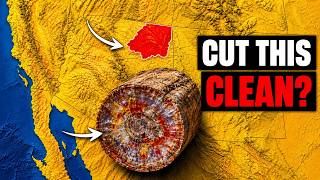 Arizona’s Petrified Forest Is Hiding Something Nobody Talks About