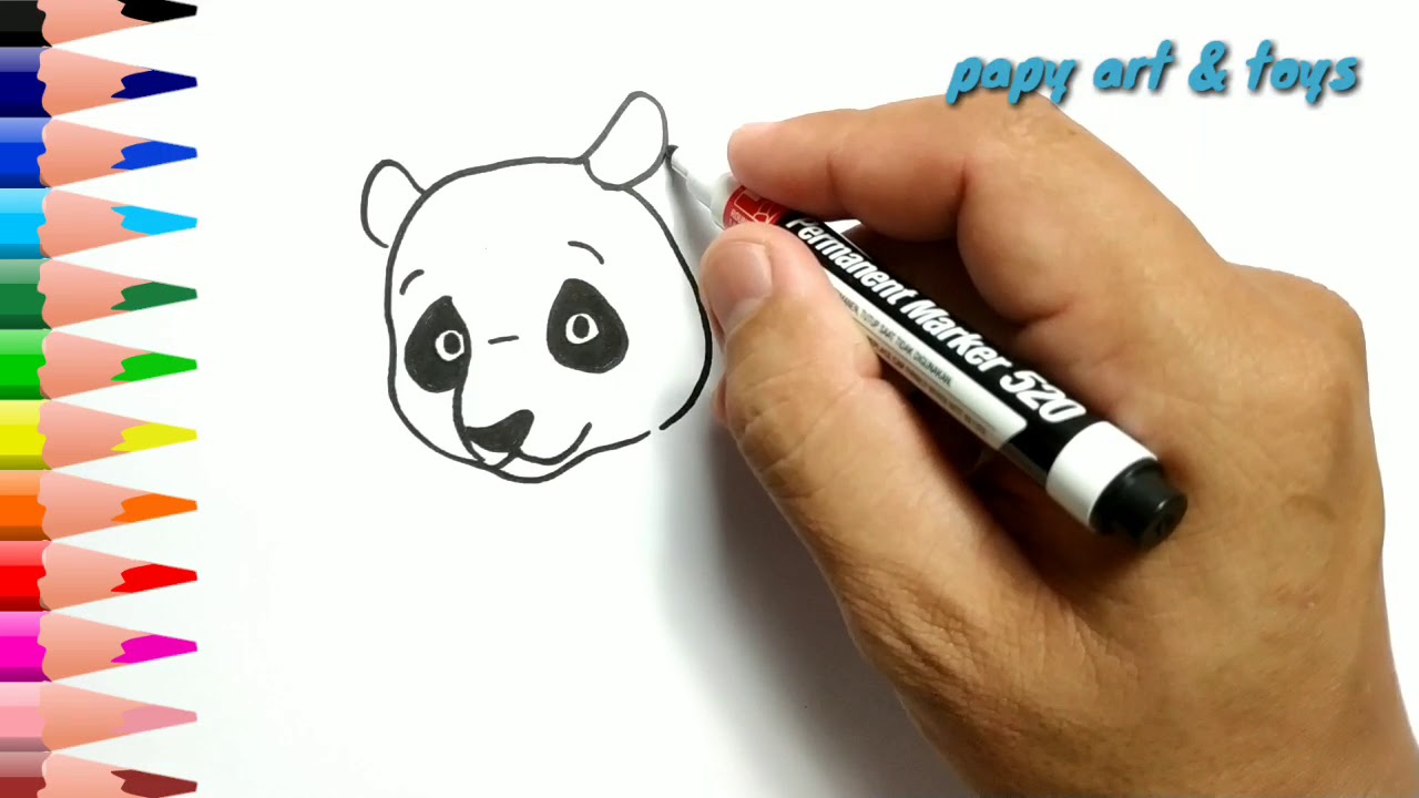 AJAIB belajar  cara  menggambar  PANDA mewarnai kartun 