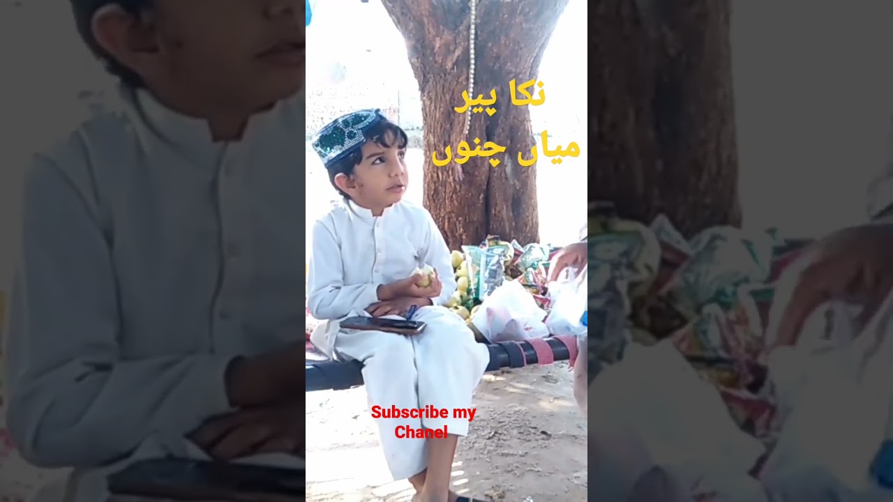 Nika Peer Mian Channu shorts