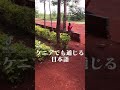 ケニアでも通じる日本語