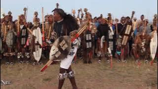 AMABUTHO KAKING MISUZULU KAZWELITHINI: By Ntokozo Ndlovu