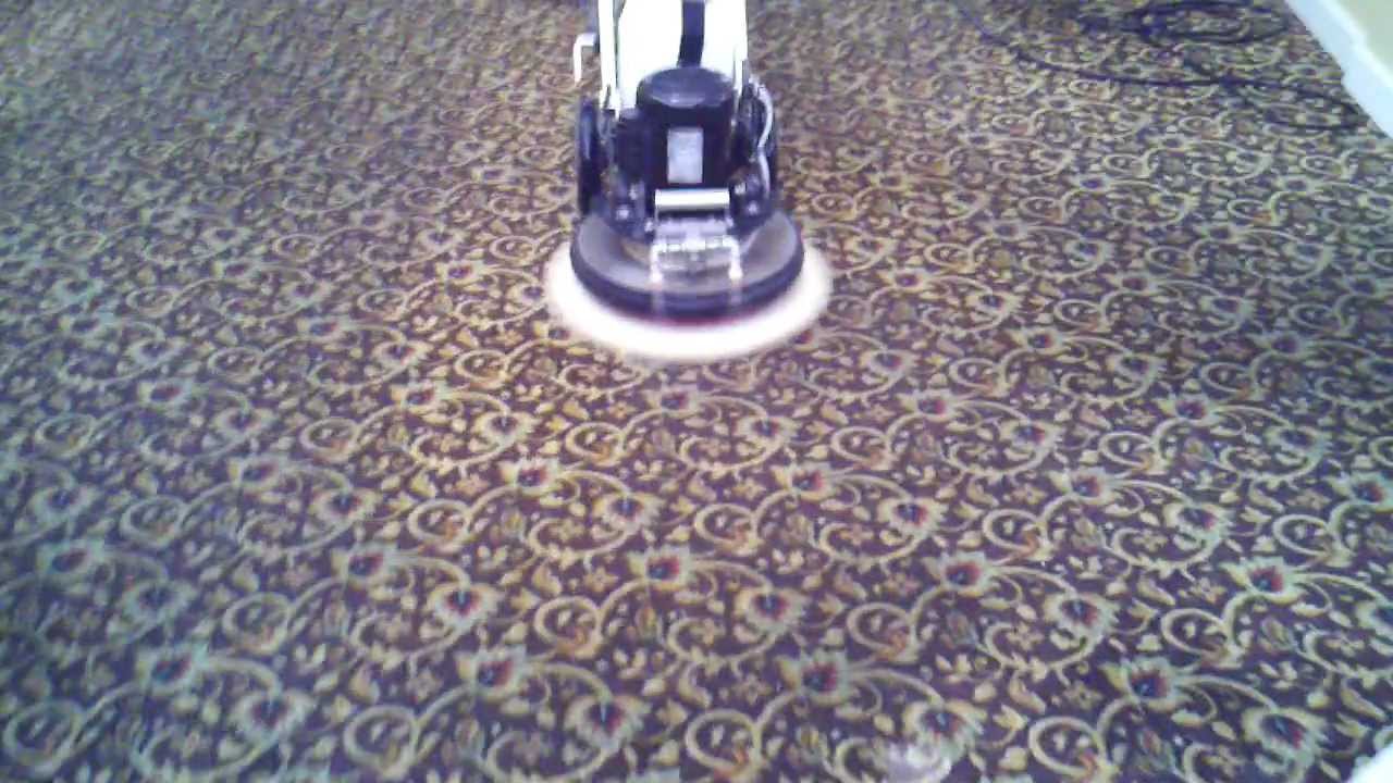 Trinity oscillating pad machine cleaning grease on carpet 1272012