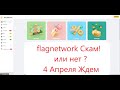 Flagnetwork скам! или всетаки нет ?