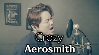 Video thumbnail of "Aerosmith - Crazy (cover by Bsco)"