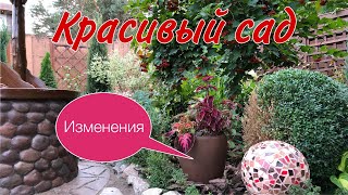 видео: Сентябрь.Красивый САД. ИЗМЕНЕНИЯ. Пересадки. Посадки. Наш череночник#ландшафтныйдизайндачи#гортензии картинка: Сентябрь.Красивый САД. ИЗМЕНЕНИЯ. Пересадки. Посадки. Наш череночник#ландшафтныйдизайндачи#гортензии
