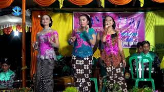 Ireng Manis - Shinta Nada Campursari - CISS Audio