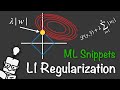 L1 Regularization - ML Snippets