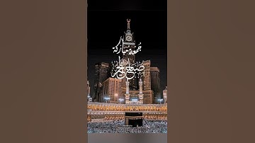 جمعة مباركة #اكسبلور #الجزائر #قرآن #تيك_توك #حالات_واتس #القرآن_الكريم #المعيقلي #سورة_الكهف #لايك