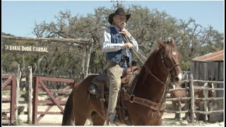 Colts and Cowboys at Dixie Dude Ranch - YOLO TX
