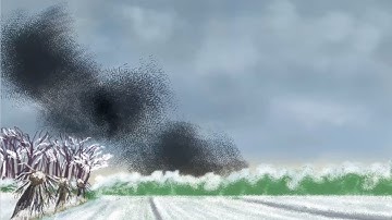 Anime Studio Pro: Special effects with brushes