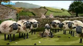 Shaun The Sheep Ep 9.The Bull