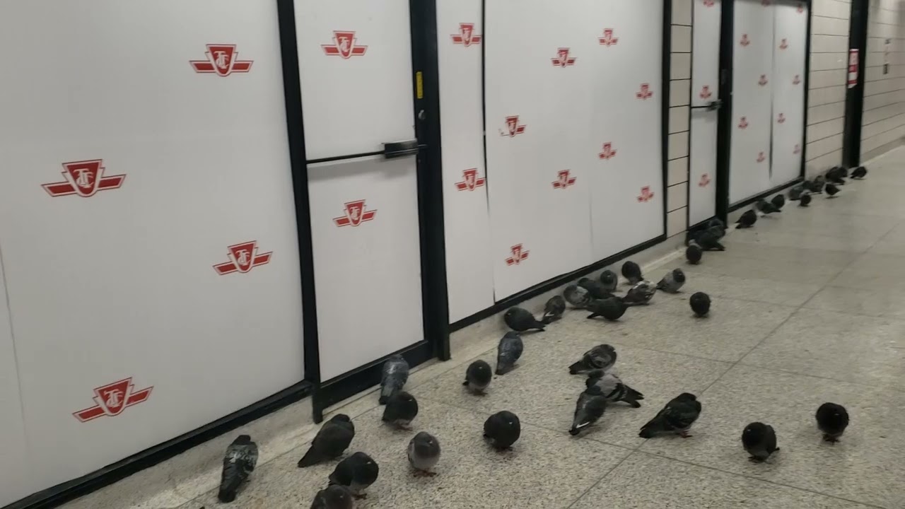 Inside Islington Subway Station Bus Terminal