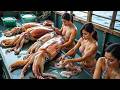 Japanese Fishermen Catch 100 Giant Deep Sea Squids Daily 🦑