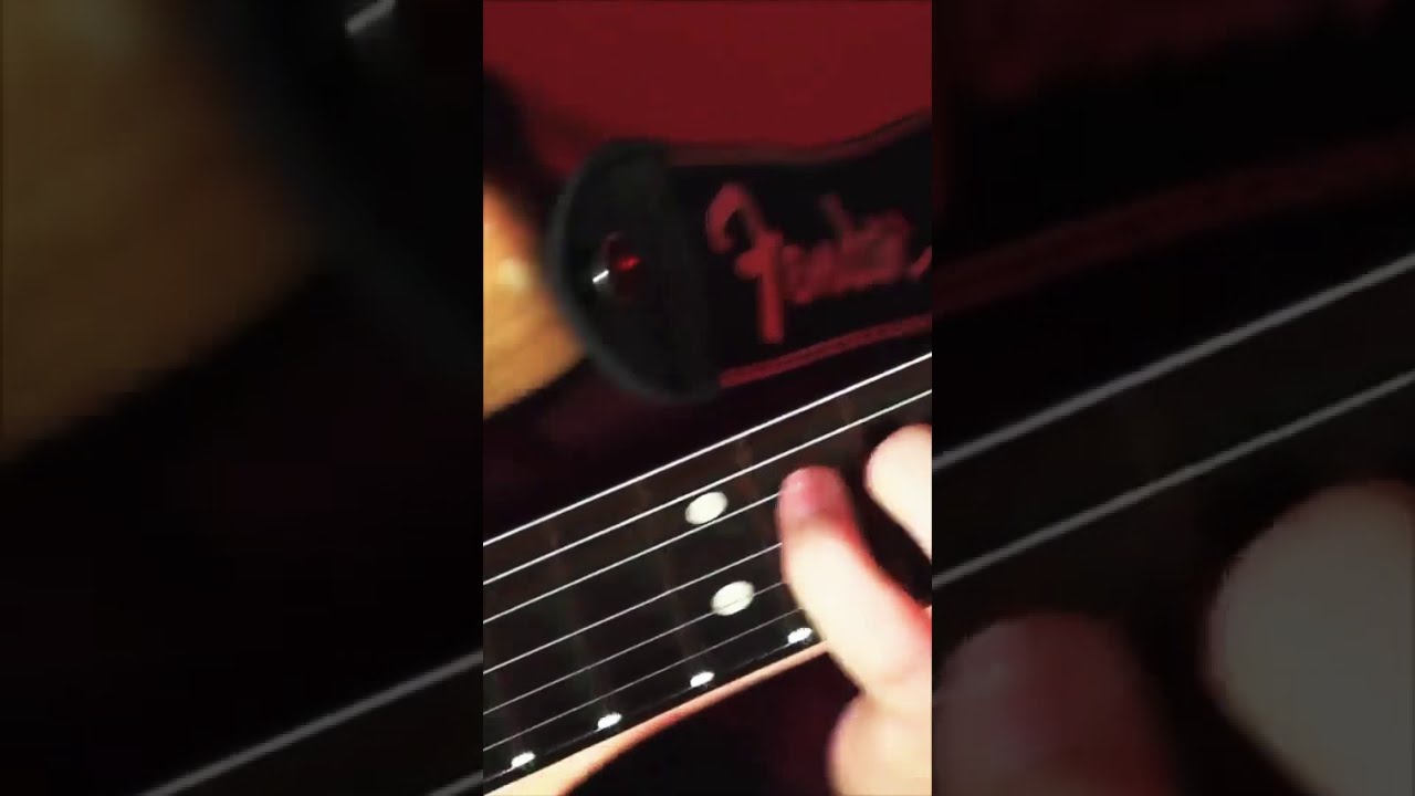 Tommy Newport - colorxstudios