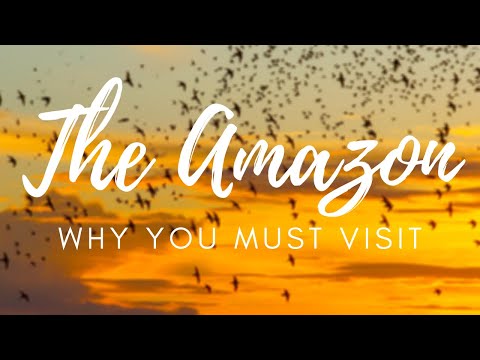 Why you NEED to visit the COLOMBIAN AMAZON (Amazonas Colombia)