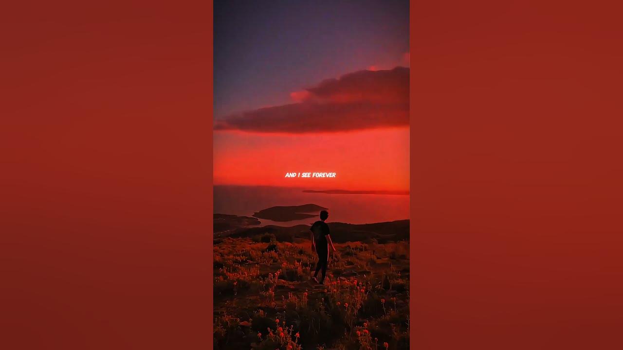 Dandelions - Ruth B | lyrics | aesthetic | whatsapp Status | English songs | slowed | speed up #edit