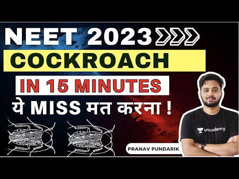 Cockroach in 15 Minutes I All Important Points Covered I NCERT Pointers