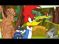 El pjaro loco  la guerra de los bosques  ms episodios completos