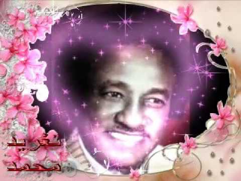 عثمان حسين قلبي الحزين تغريد محمد