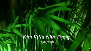 Video thumbnail of "Từ Một Giấc Mơ (Mai Anh Việt)"