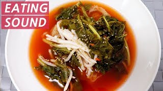 Yeolmu Naengmyeon Eating Sound