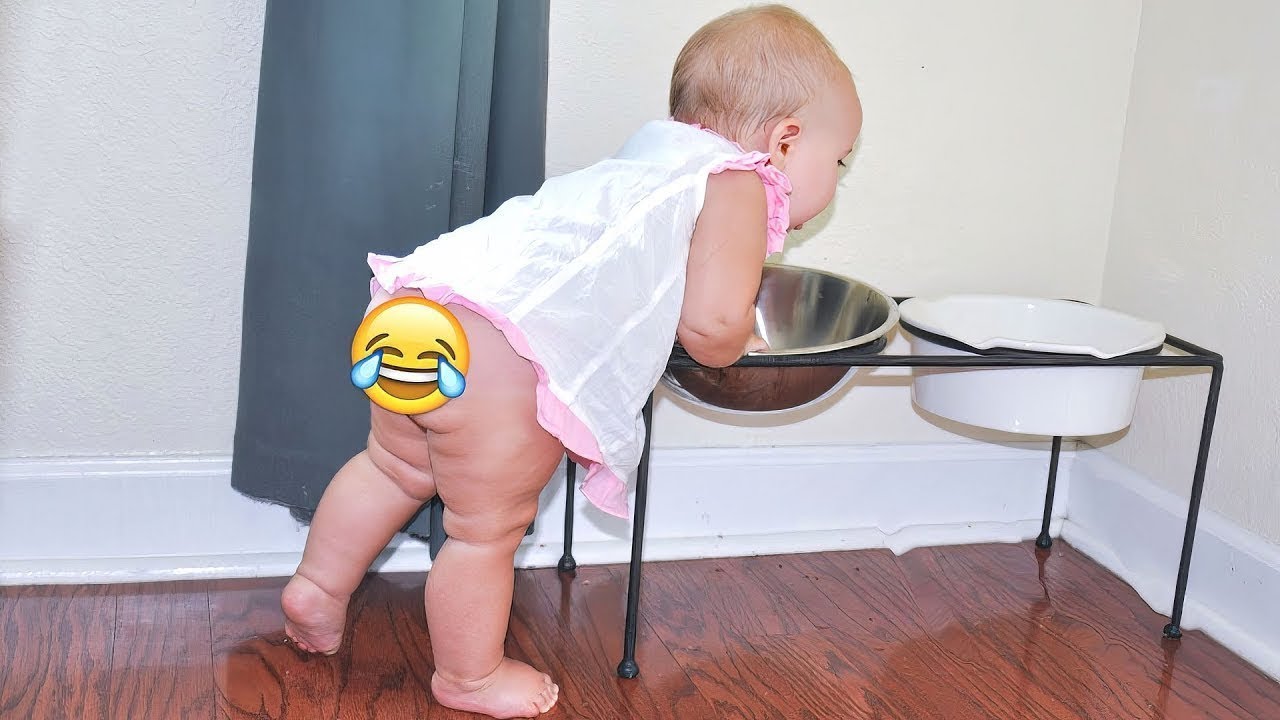 Laugh Out Loud with These Funny Baby Videos 🤣 – Funniest Baby Moments
