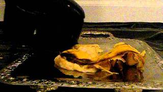 Trampling Crushing - Banana