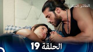 مسلسل الطائر المبكر الحلقة 19 (Arabic Dubbed)