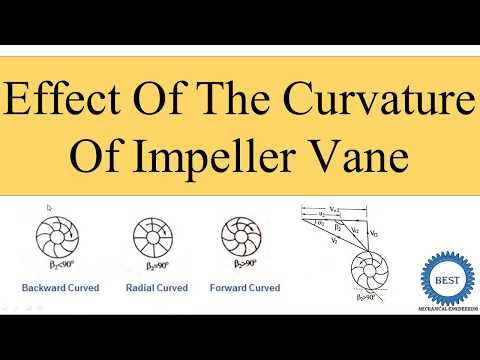Effect Of The