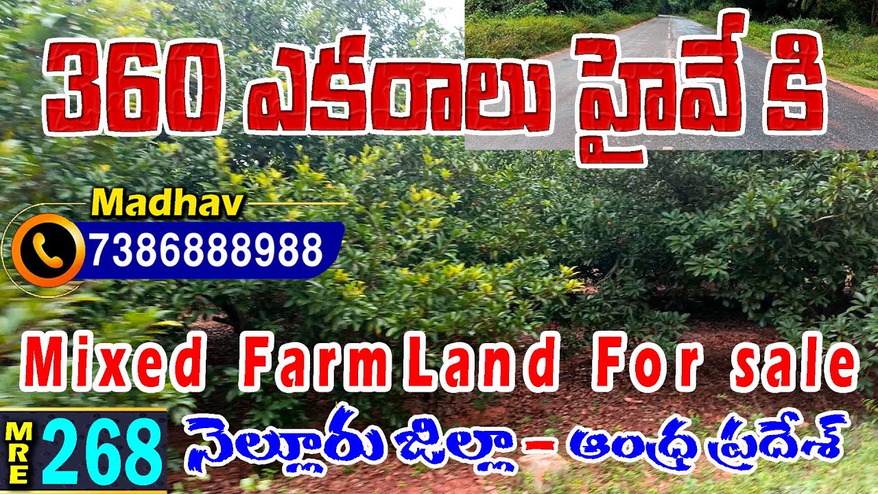 360 ఎకరాల వ్యవసాయ క్షేత్రం For Sale - Manubolu - Nellore Dist. - land for sale -7386888988 - MRE-268