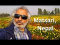 Matsari Village Flower Beds, Fields, Pond | Bagmati River | Khurduk Music | Nilgai | Biru Saraswati