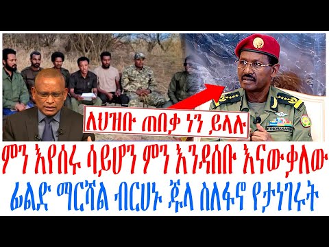 ምን እየሰሩ ሳይሆን ምን እንዳሰቡ እናውቃለው ፊልድ ማርሻል ብርሀኑ ጁላ ስለፋኖ የታነገሩት