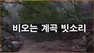 비오는 계곡  빗소리 물소리물흐르는소리 ,Relaxing sounds water stream, RAIN SOUNDS