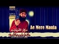 Hafiz abid raza qadri  ae mere maula