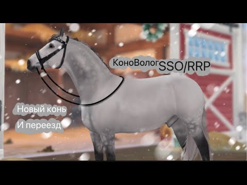 Видео: VLOG SSO/RRP // Переезд на новую конюшню // Прошай Мацион… // Новый конь?.. // КоноВлог