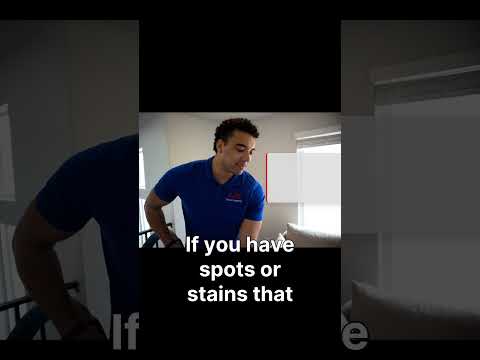 Watch This Pet Stain Disappear