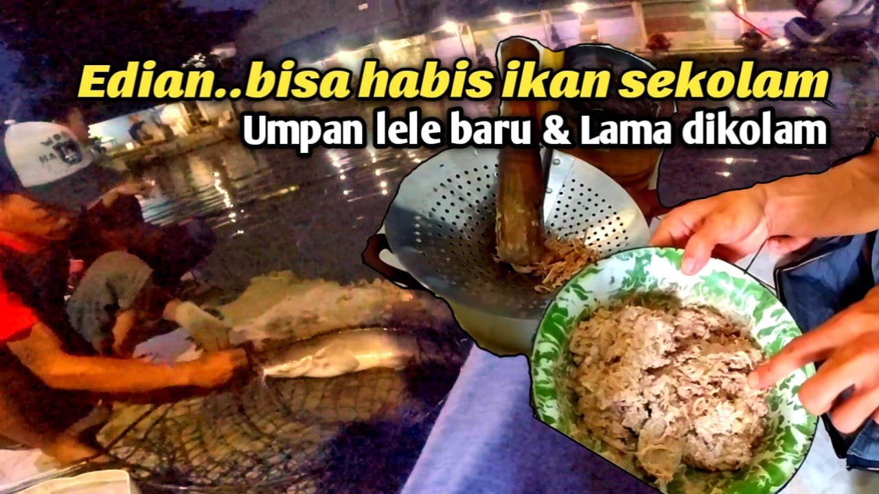 Gawat! Lengah dikit joran terjebur. Umpan lele lama dikolam & baru. Mancing ikan lele galatama