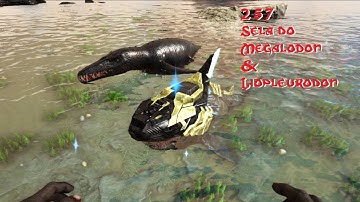 PATCH 257 LIOPLEURODON TAMING + TEK MEGALODON SADDLE ARK Survival Evolved